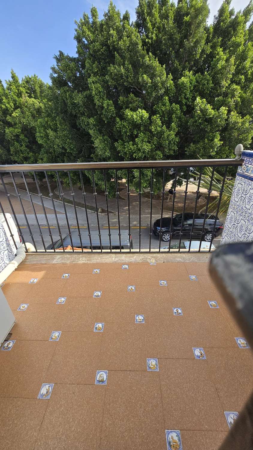 Chalet for rent in Churriana (Málaga)