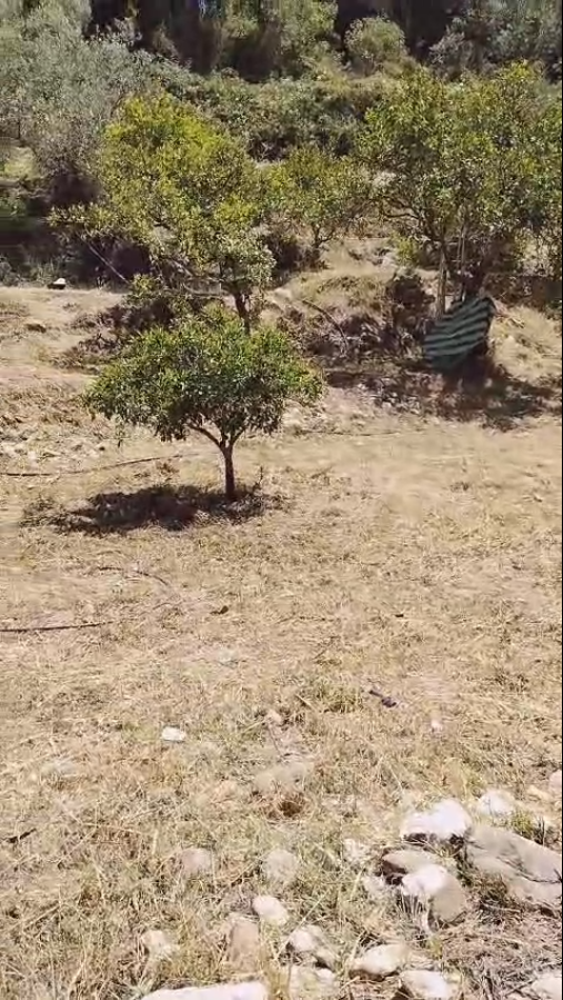 Parcela en venta en Coín