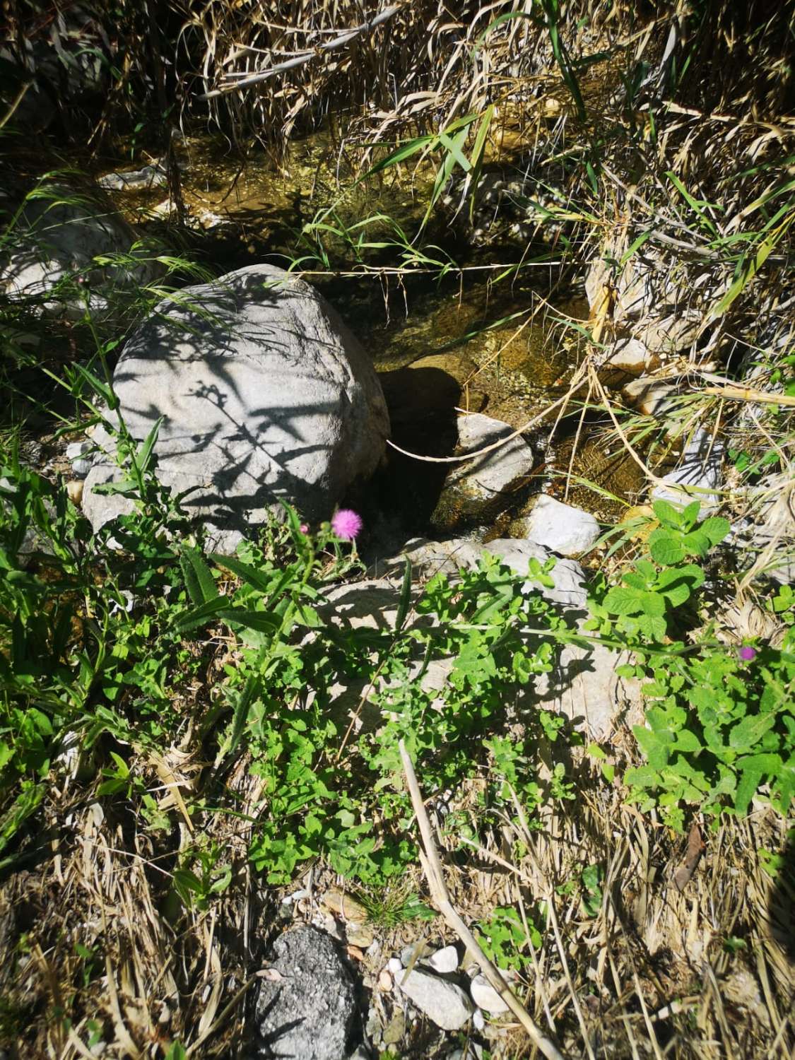 Parzelle zum verkauf in Coín