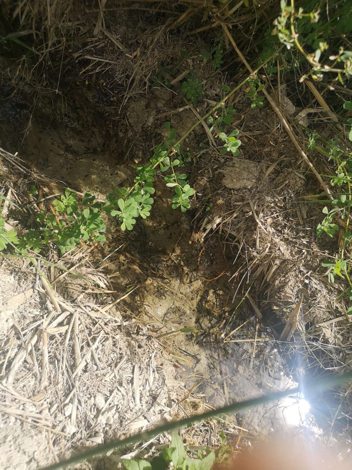 Parcela en venta en Coín