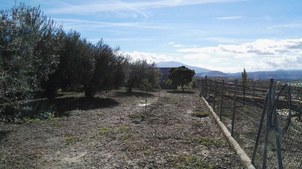 Finca en venta en Coín
