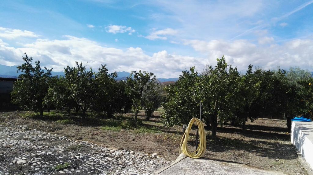 Finca en venta en Coín