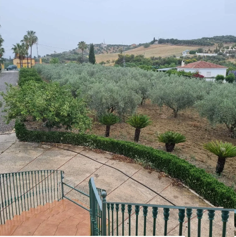 Finca en venta en Coín