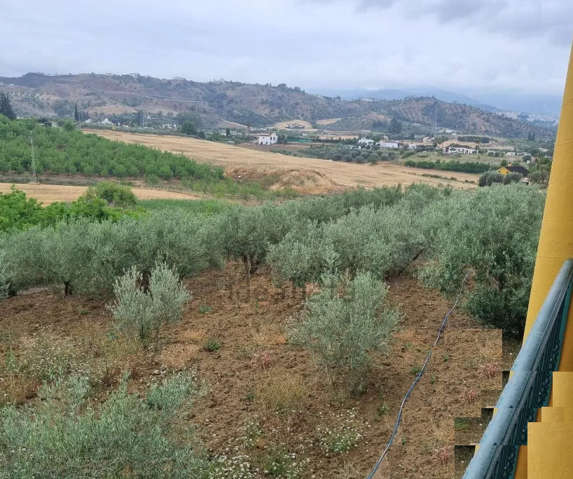 Finca en venta en Coín