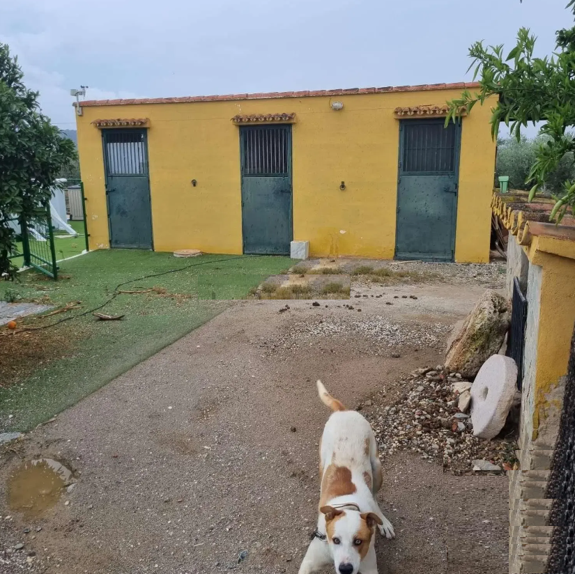 Finca en venta en Coín