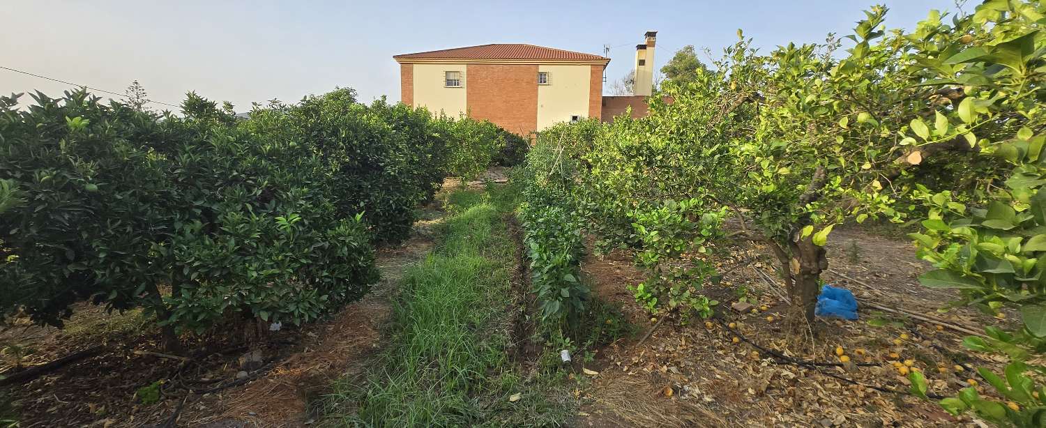 Parcelle en vente à Alhaurín de la Torre