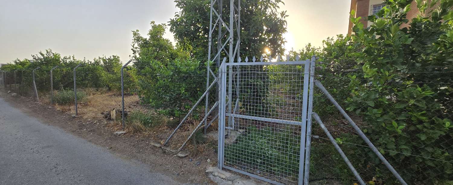 Parcelle en vente à Alhaurín de la Torre