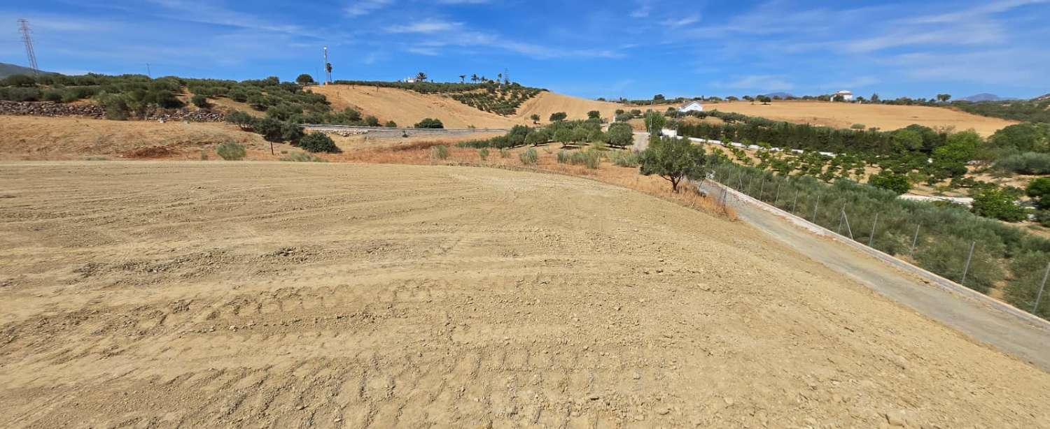 Country Property for sale in Alhaurín de la Torre