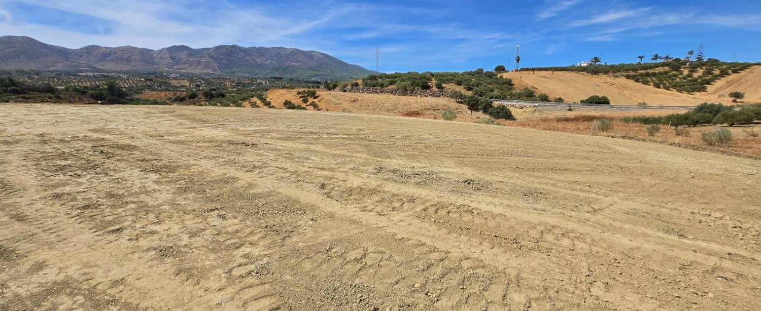Percelen te koop in Alhaurín de la Torre