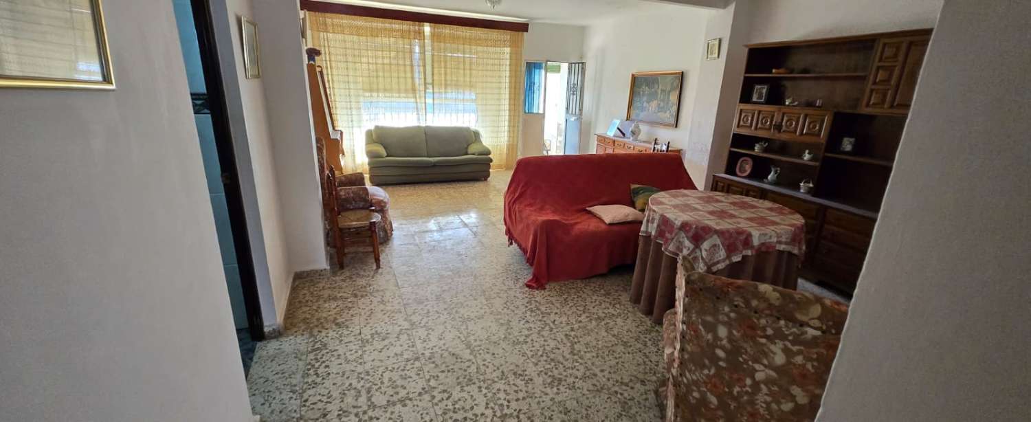 House for sale in Pizarra