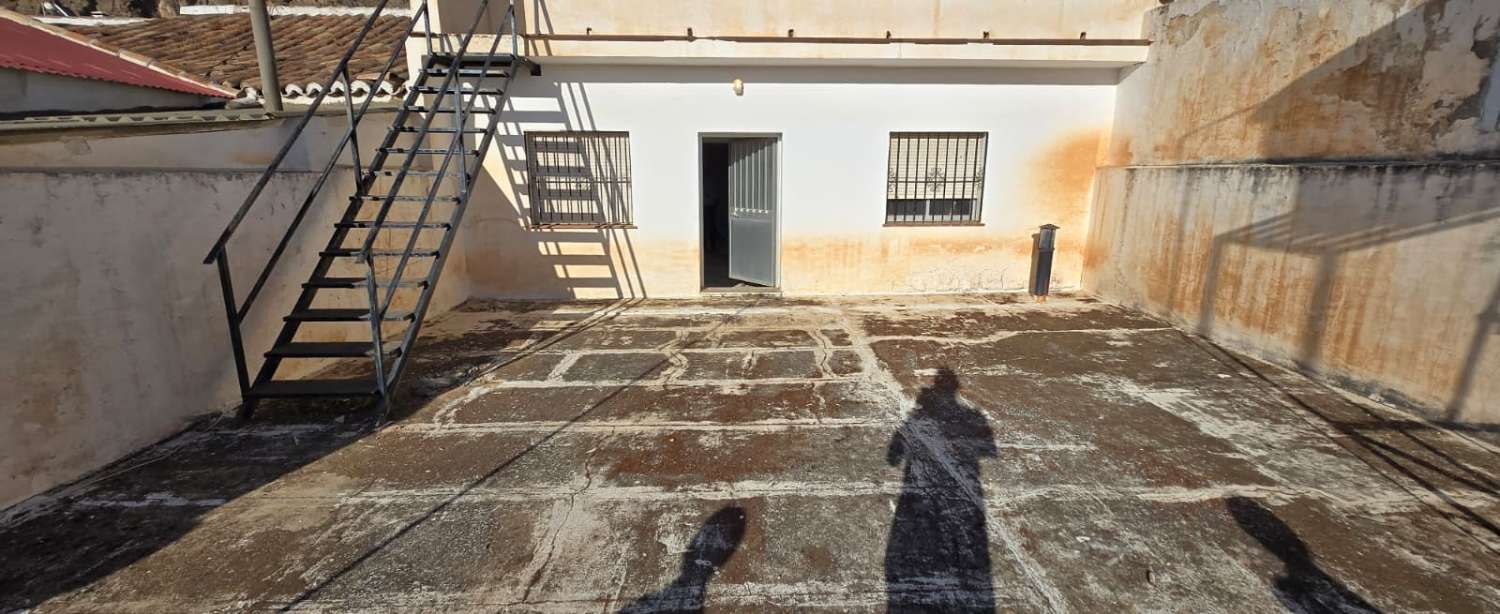 House for sale in Pizarra