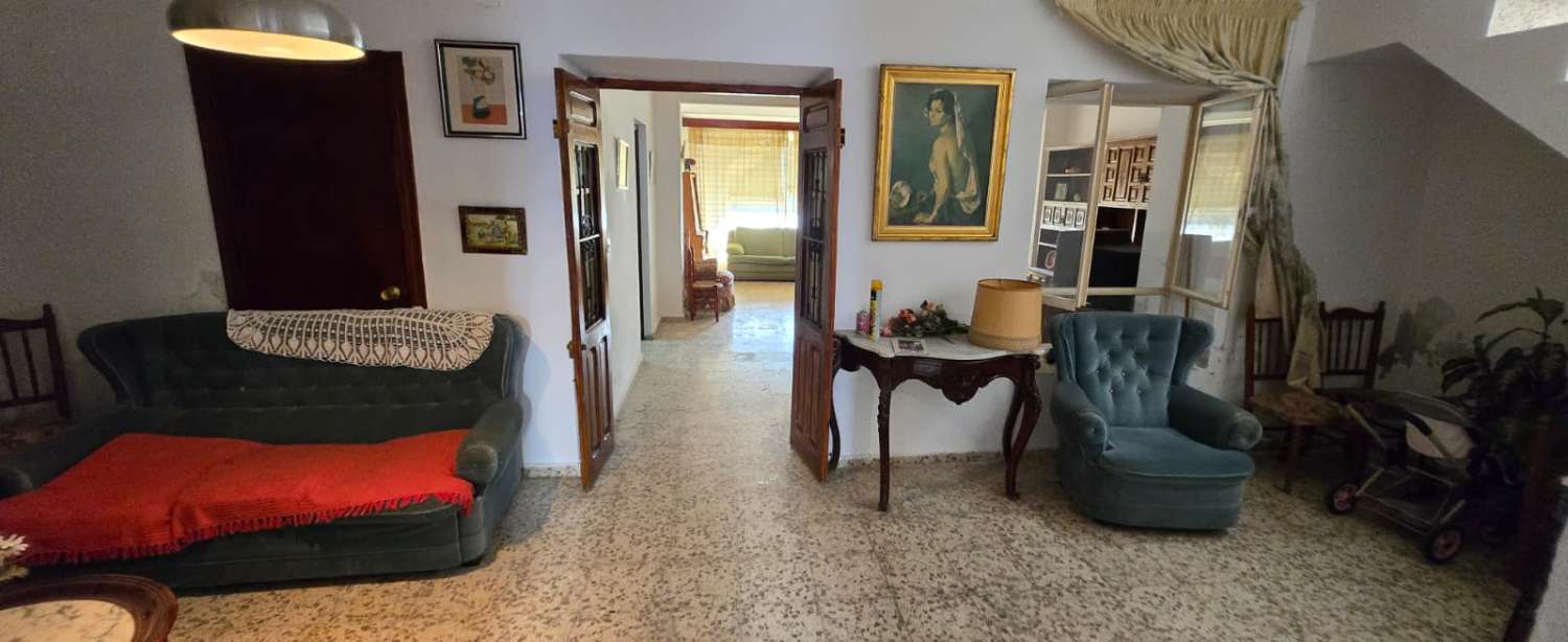 House for sale in Pizarra