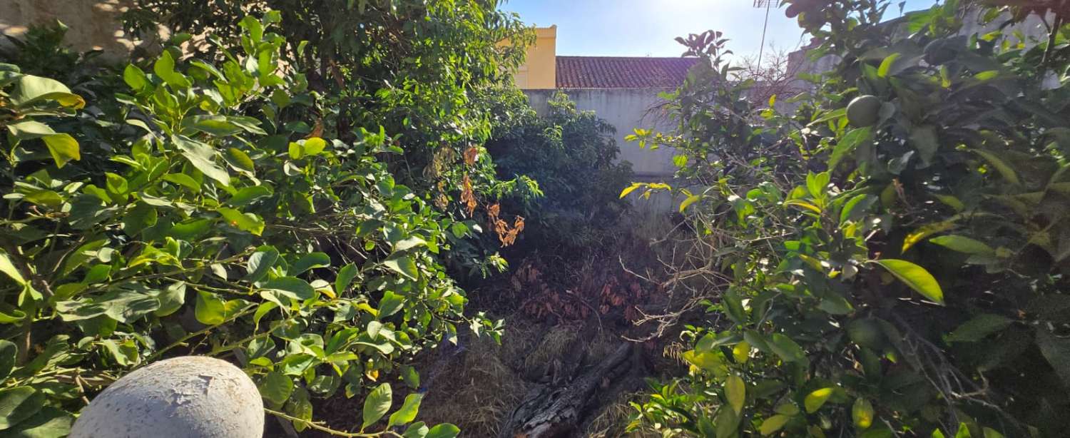 House for sale in Pizarra