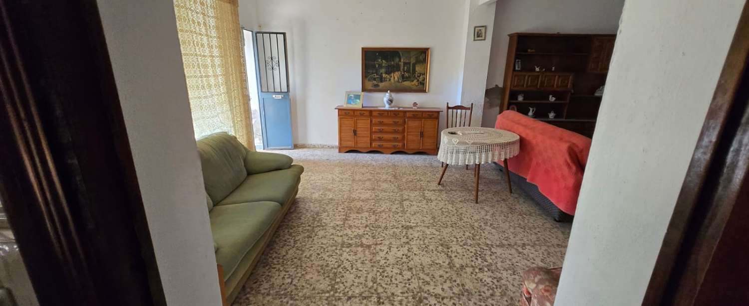 House for sale in Pizarra