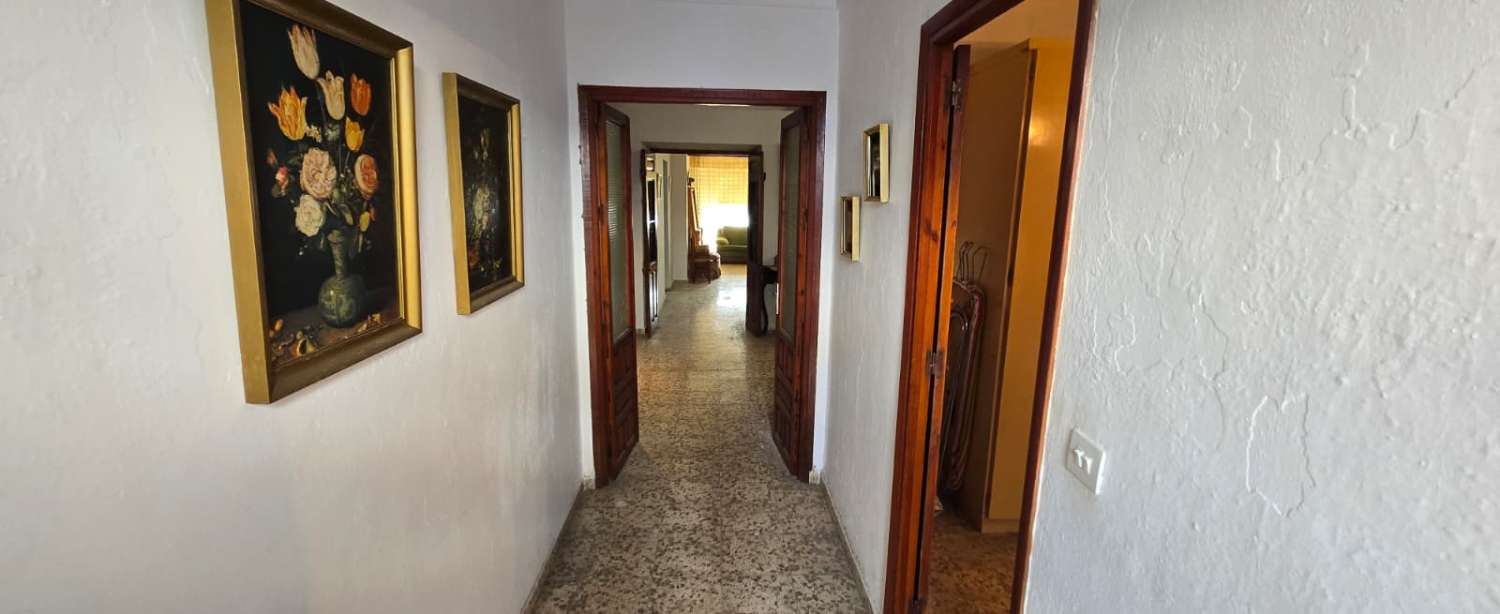 House for sale in Pizarra