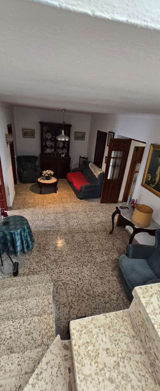 House for sale in Pizarra