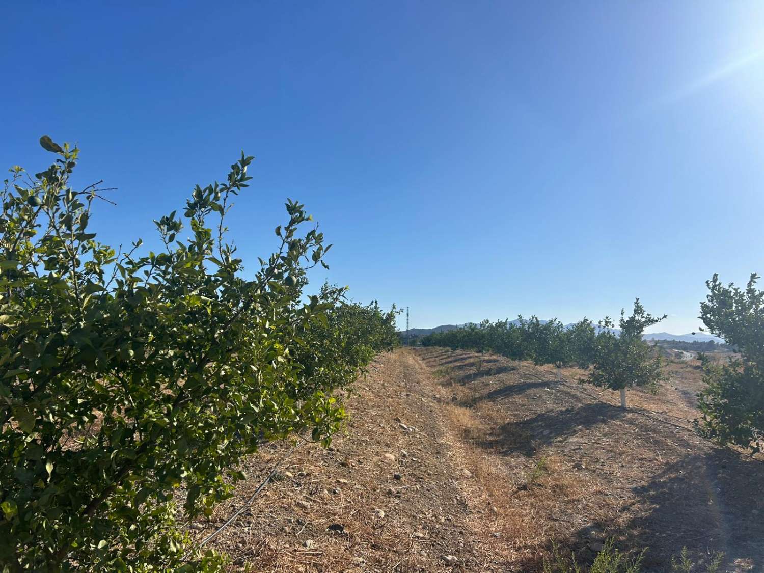 Finca en venta en Cártama