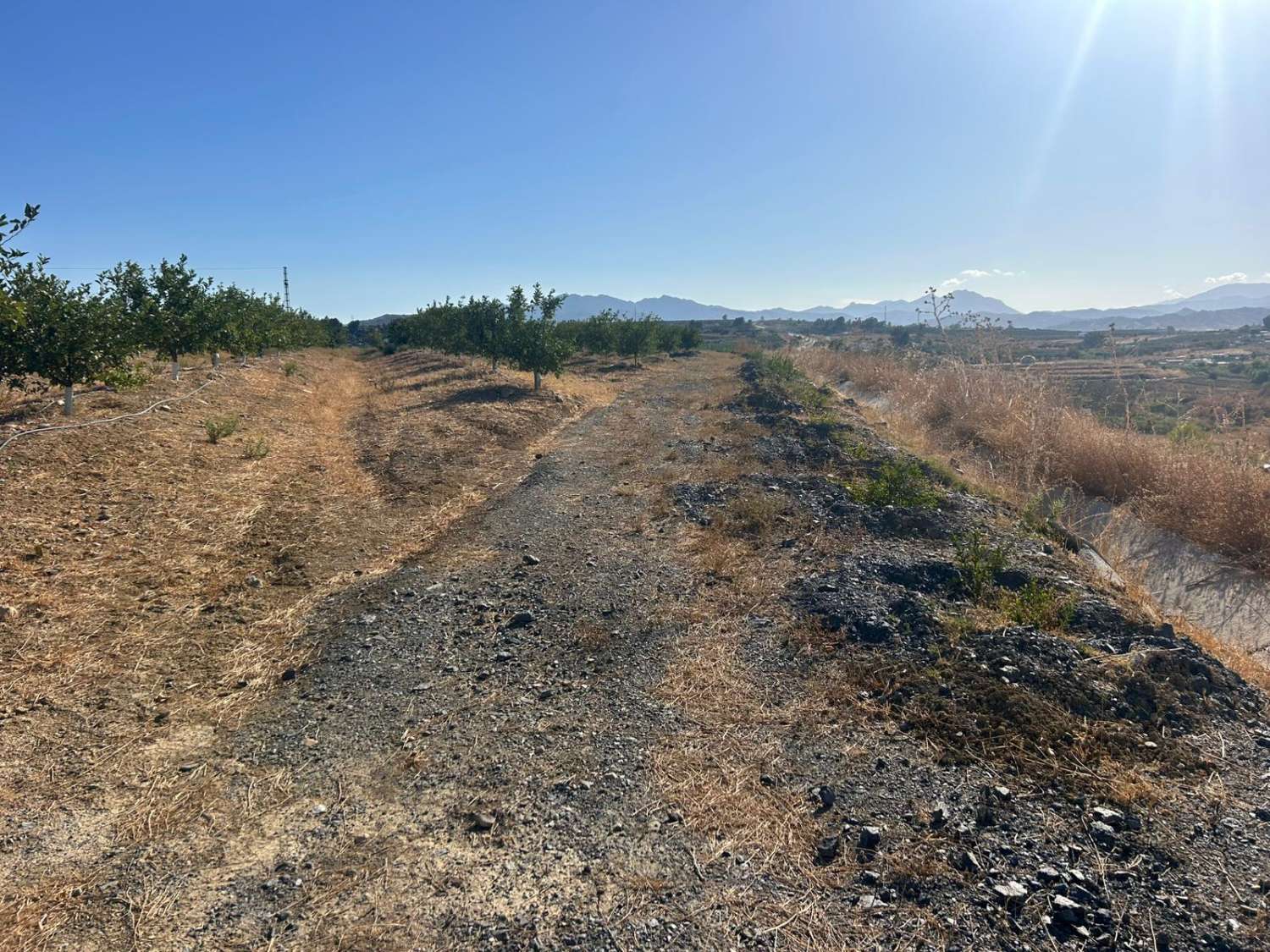 Finca en venta en Cártama