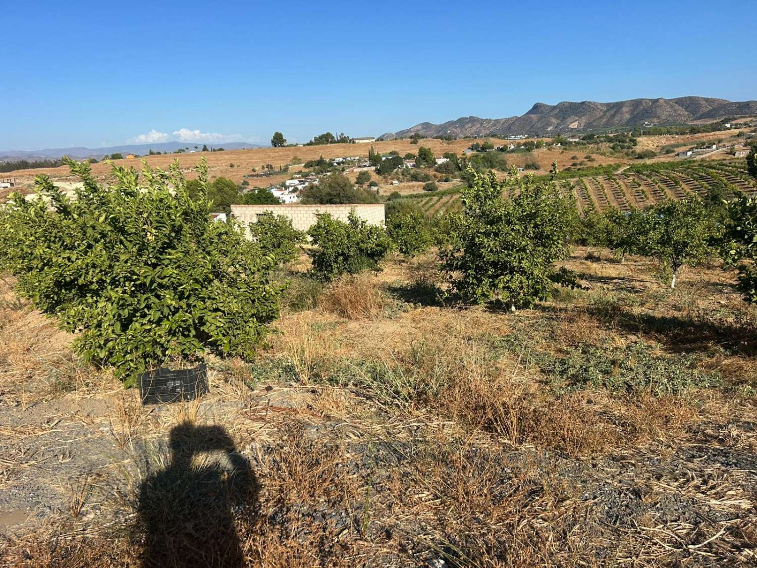 Finca en venta en Cártama