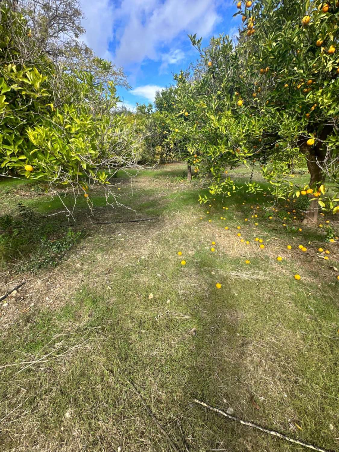 Chalet for sale in Álora