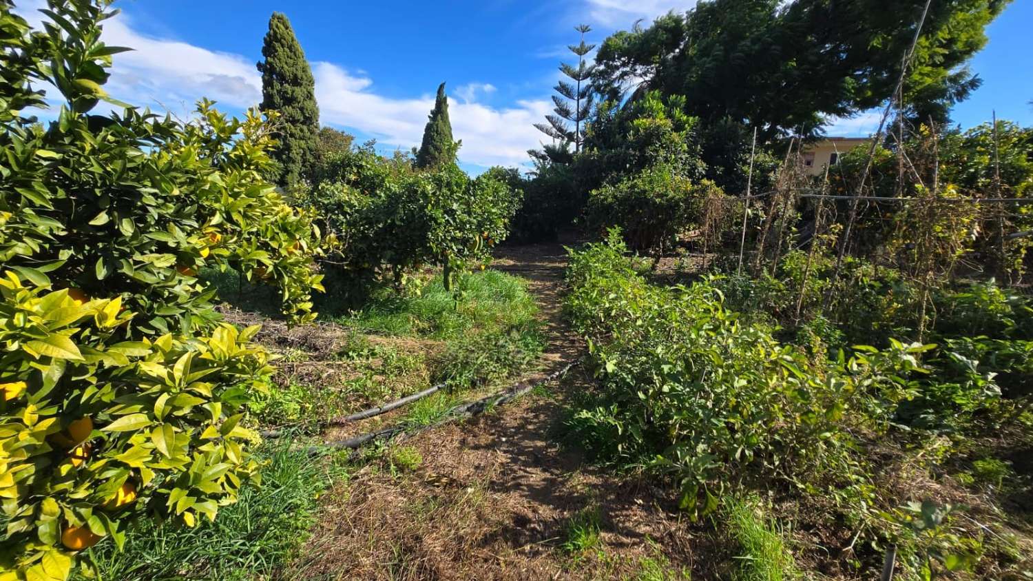 Villa en venta en Alhaurín de la Torre