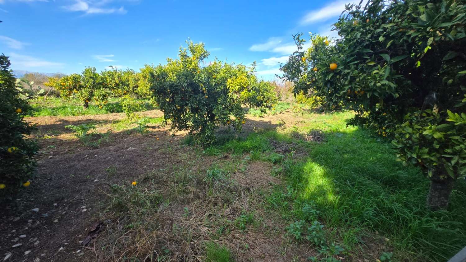 Villa en venta en Alhaurín de la Torre