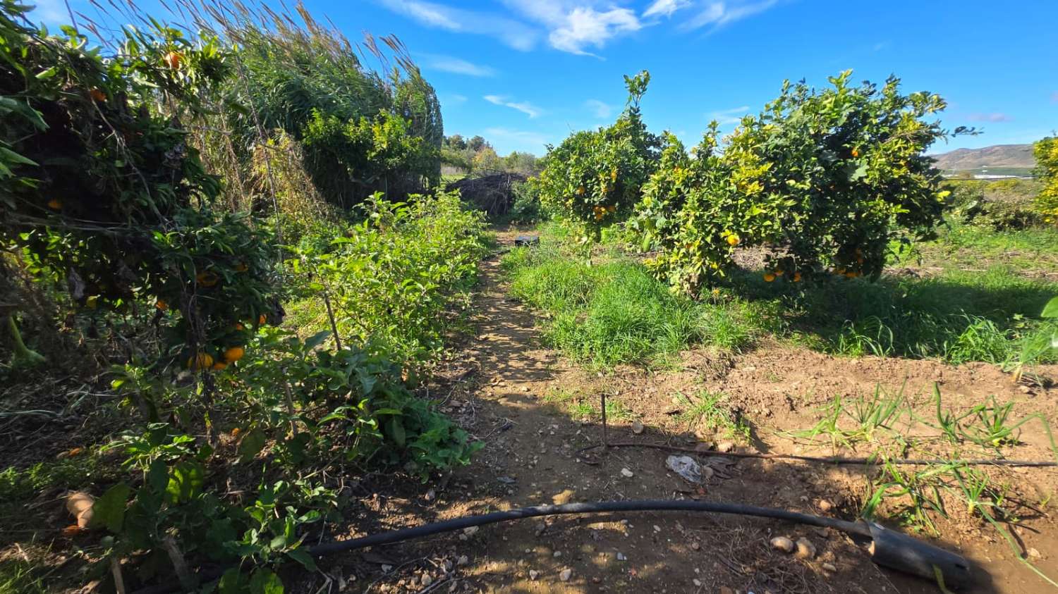 Villa en venta en Alhaurín de la Torre