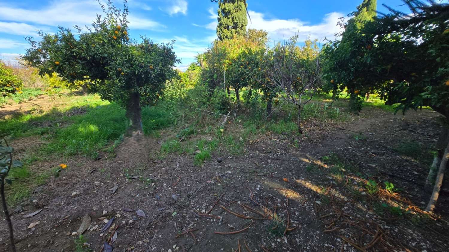 Villa en venta en Alhaurín de la Torre