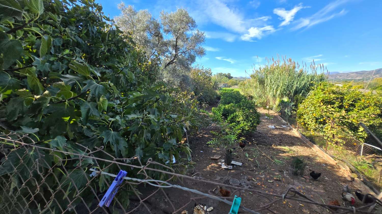 Villa en venta en Alhaurín de la Torre