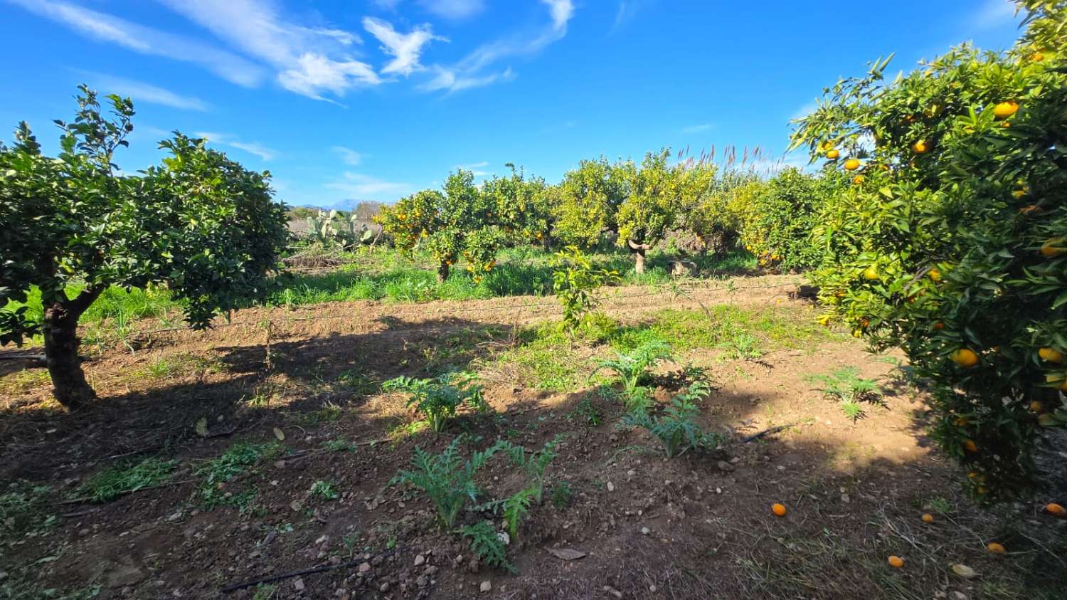 Villa en venta en Alhaurín de la Torre