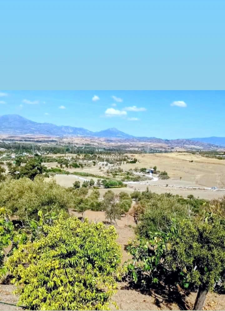 Finca en venta en Coín