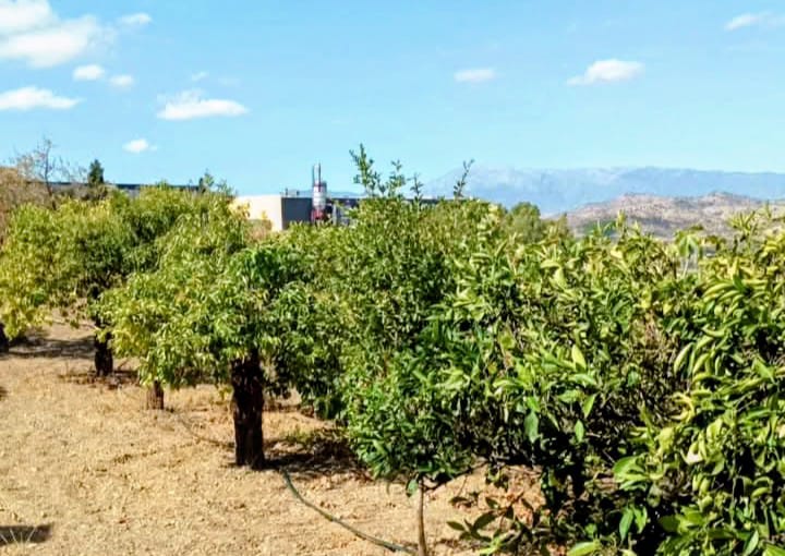 Finca en venta en Coín