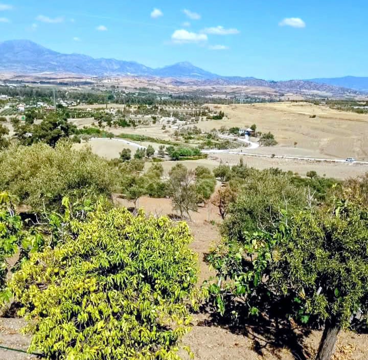 Finca en venta en Coín