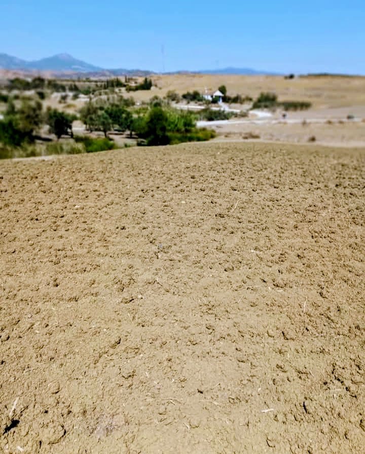 Finca en venta en Coín