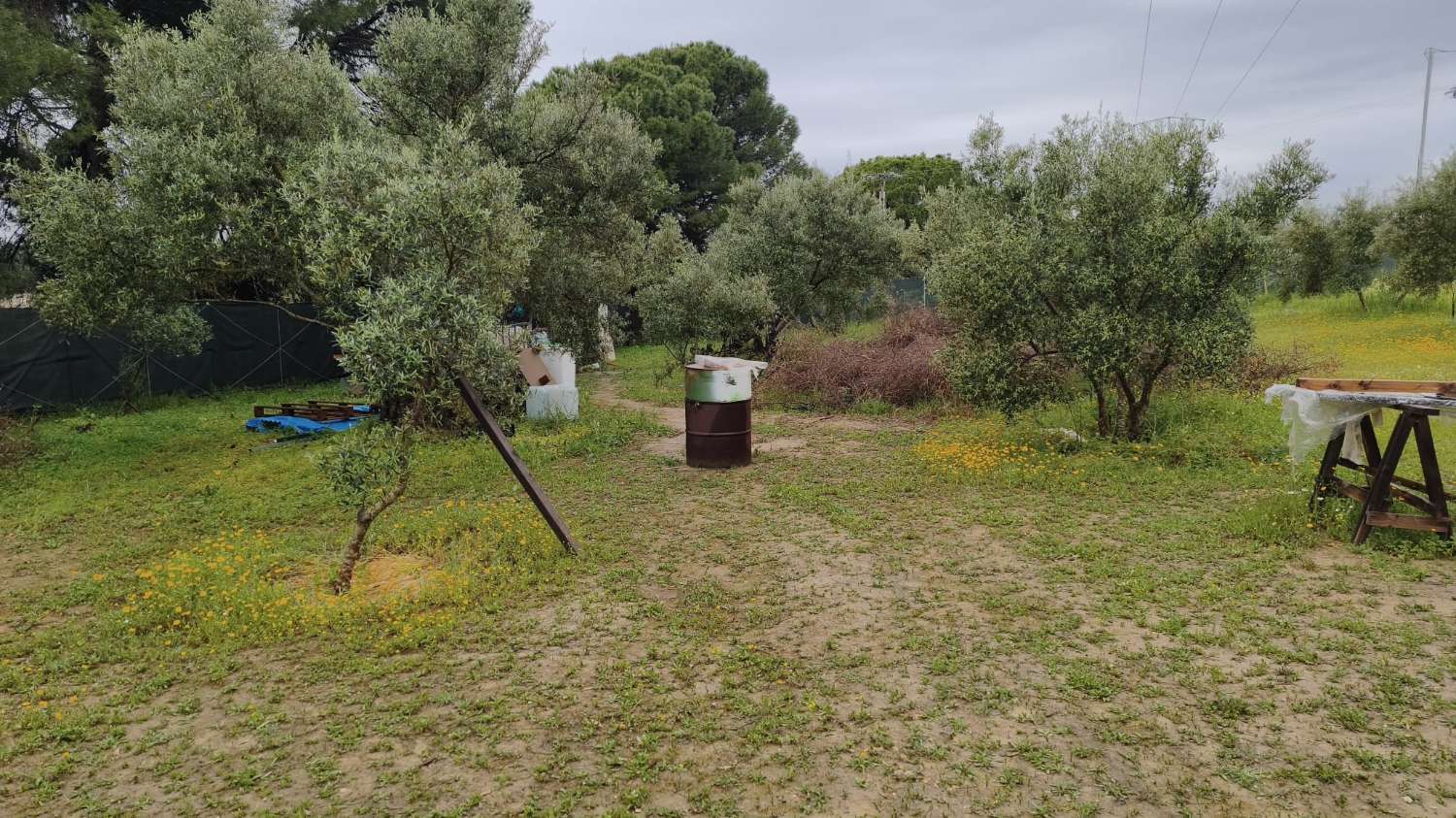 Finca en venta en Cártama