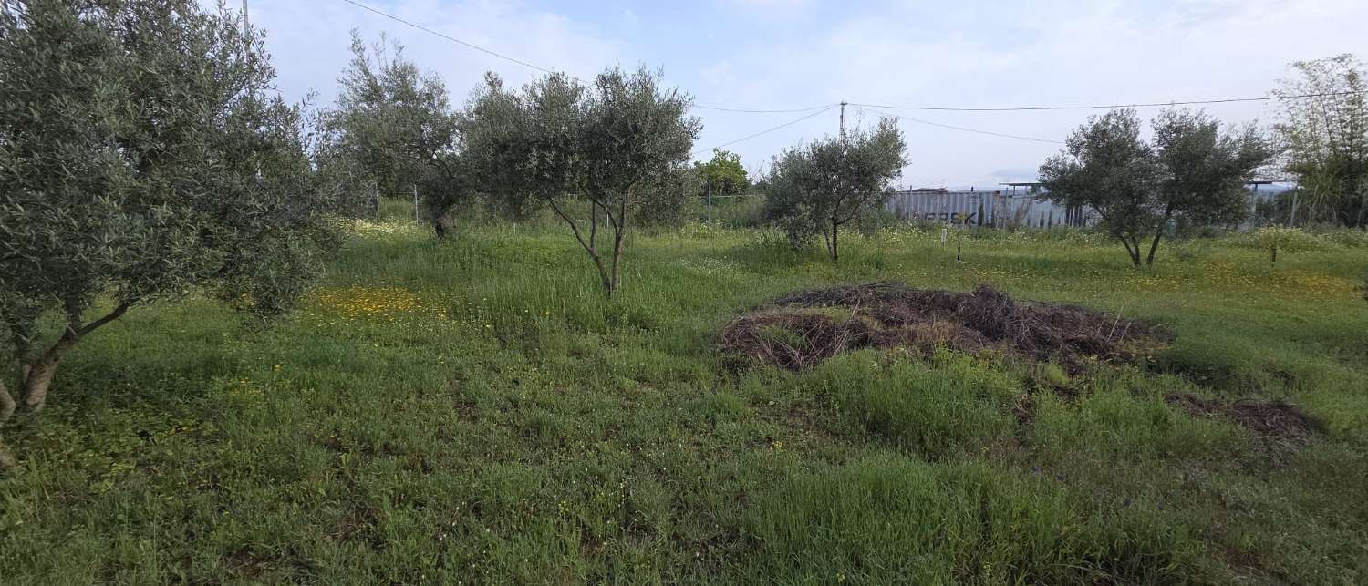 Finca en venta en Cártama