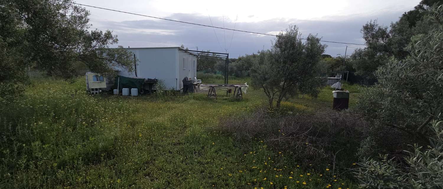 Finca en venta en Cártama