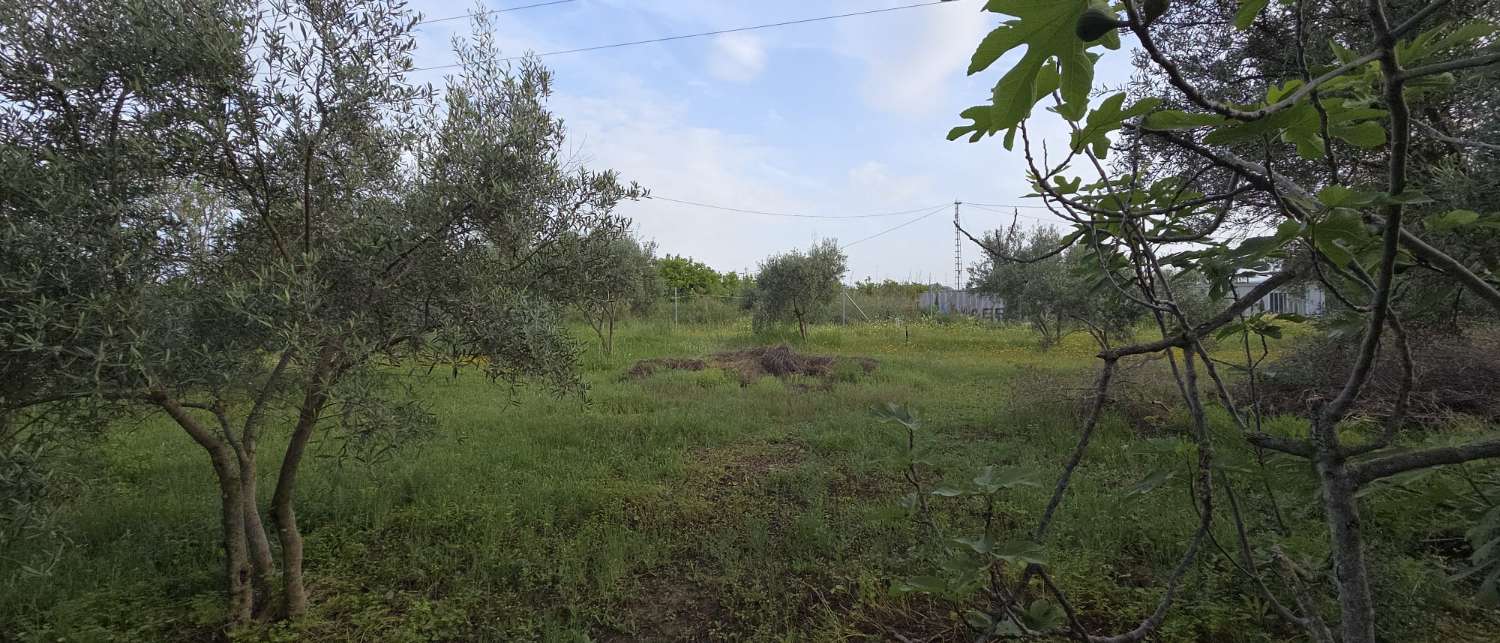 Finca en venta en Cártama