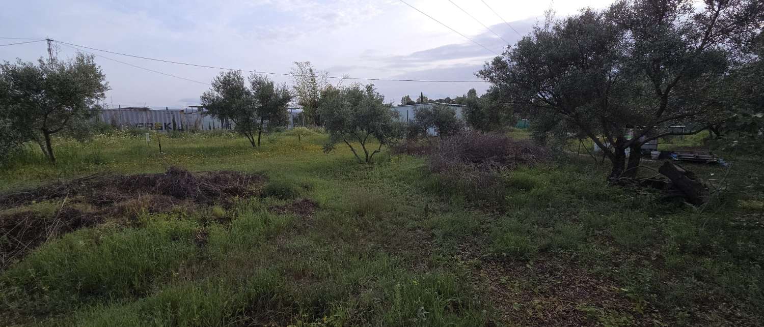 Finca en venta en Cártama