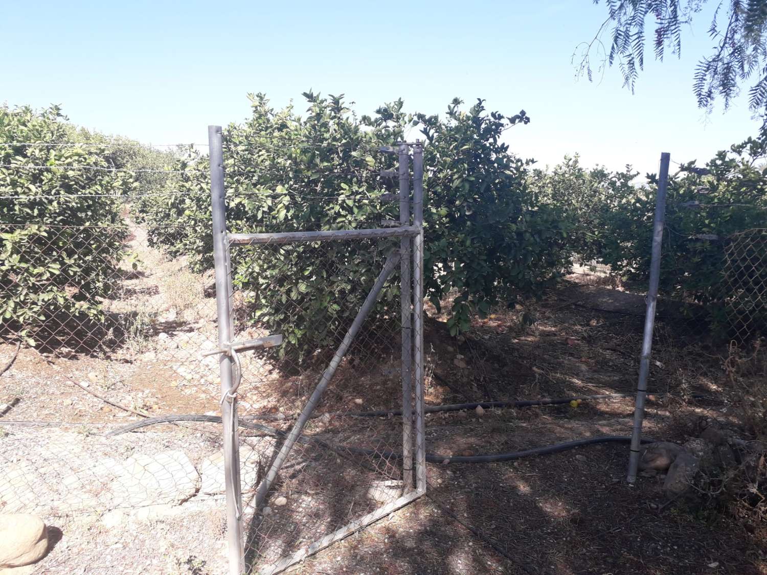 Casa en venta en Cártama