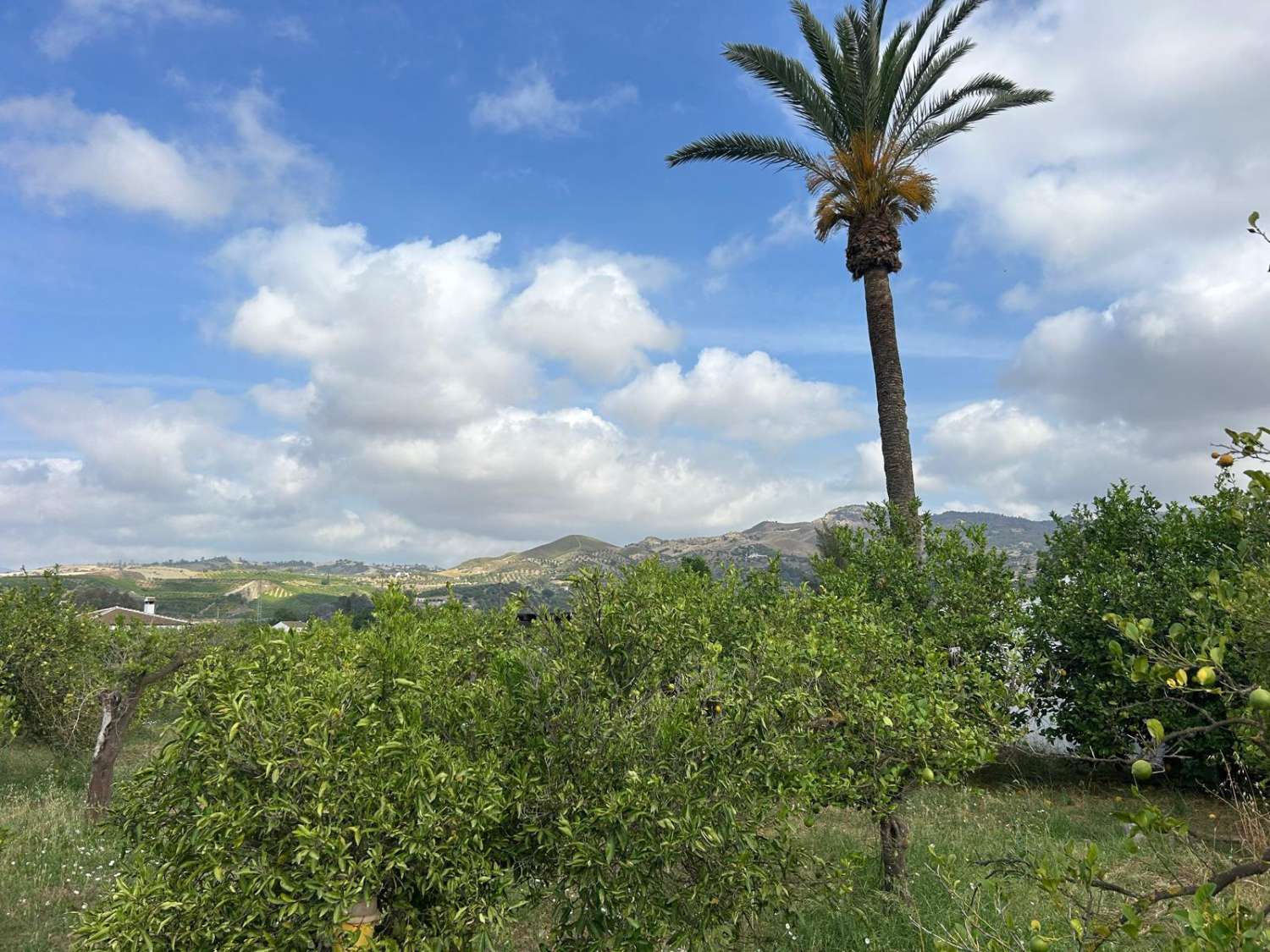 Casa en venta en Pizarra