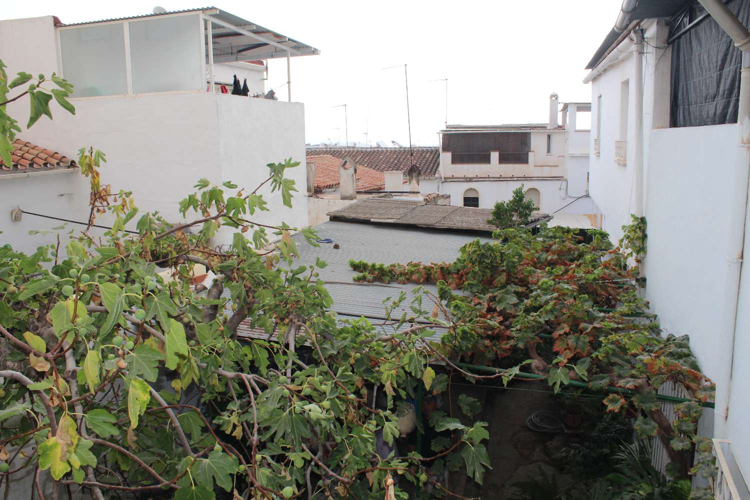 Casa en venta en Coín