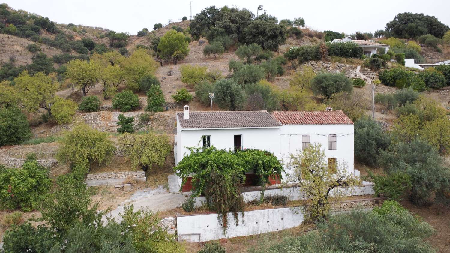Finca en venta en Monda