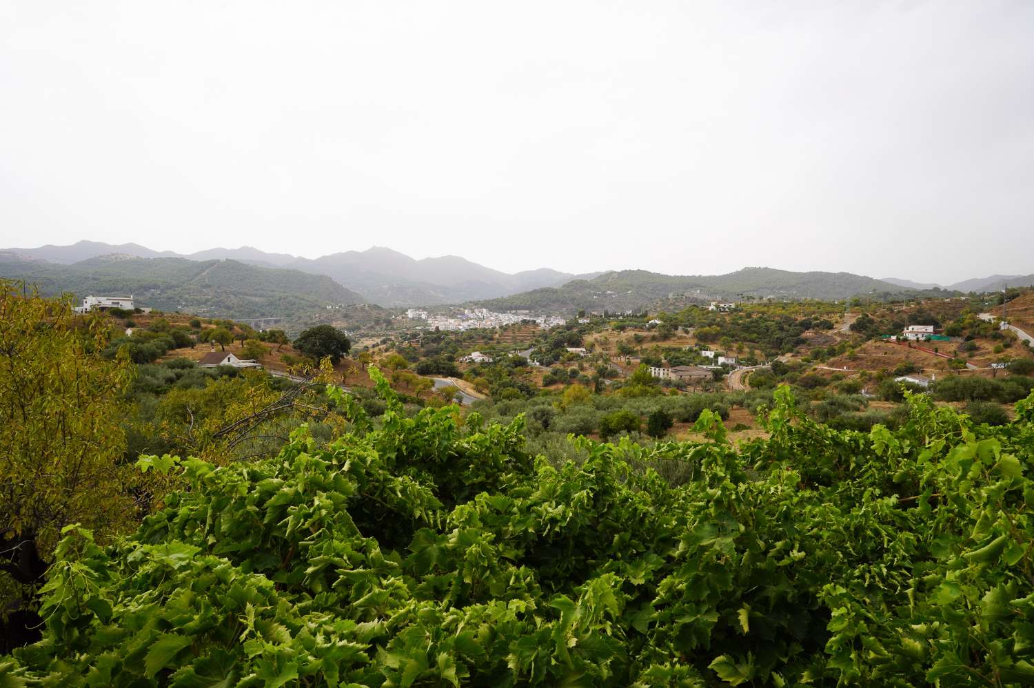 Finca en venta en Monda