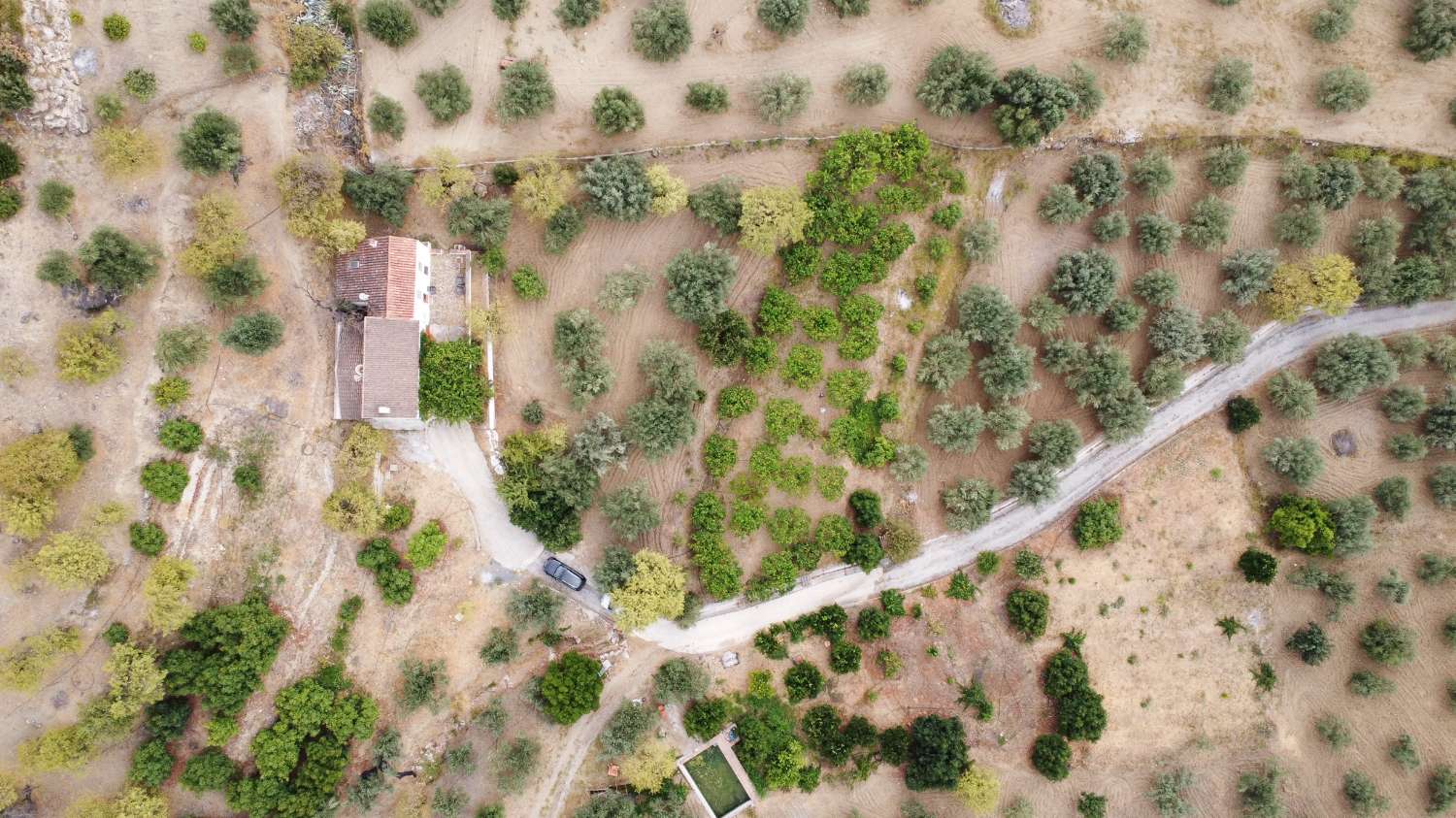 Finca en venta en Monda