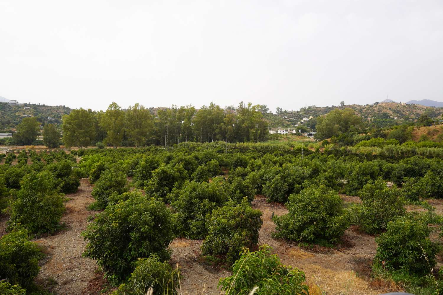 Finca en venta en Coín