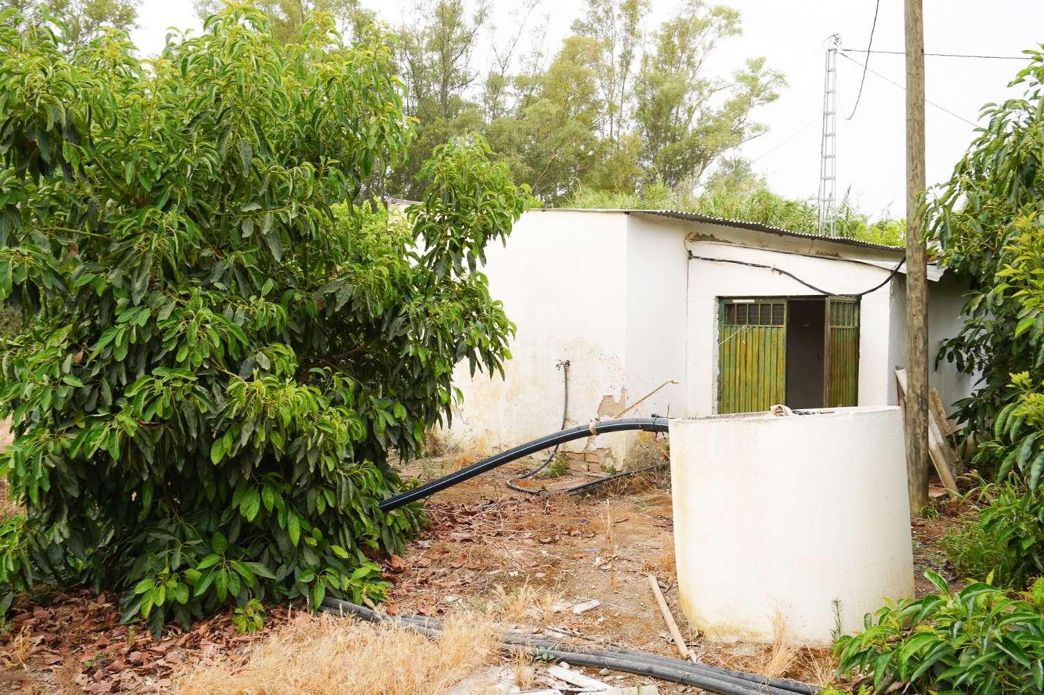 Finca en venta en Coín