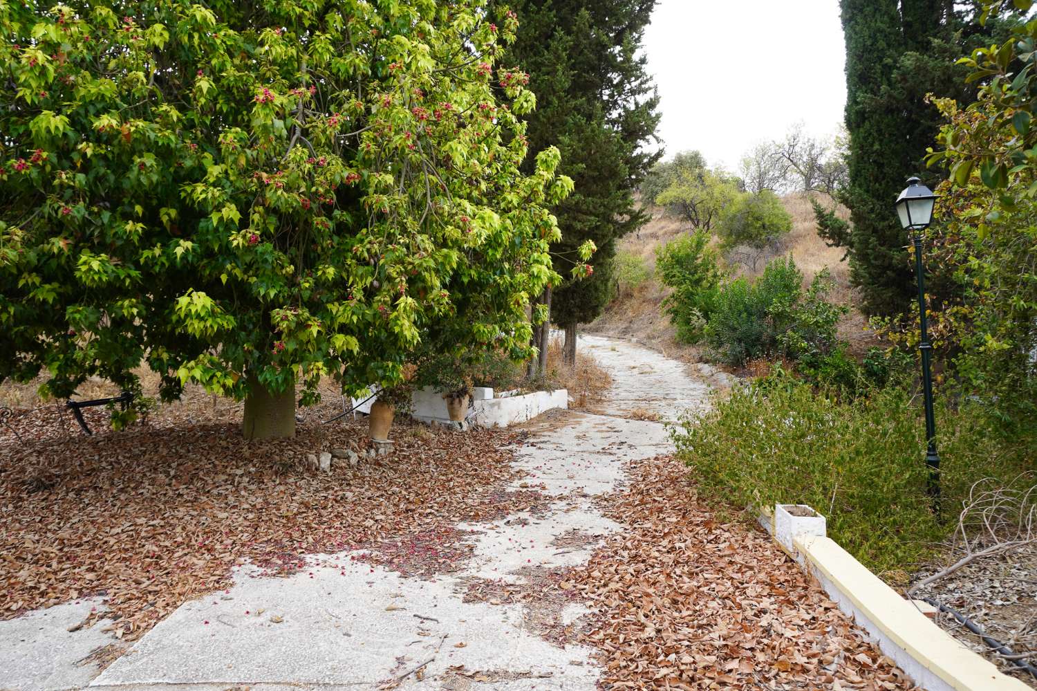 Finca en venta en Coín