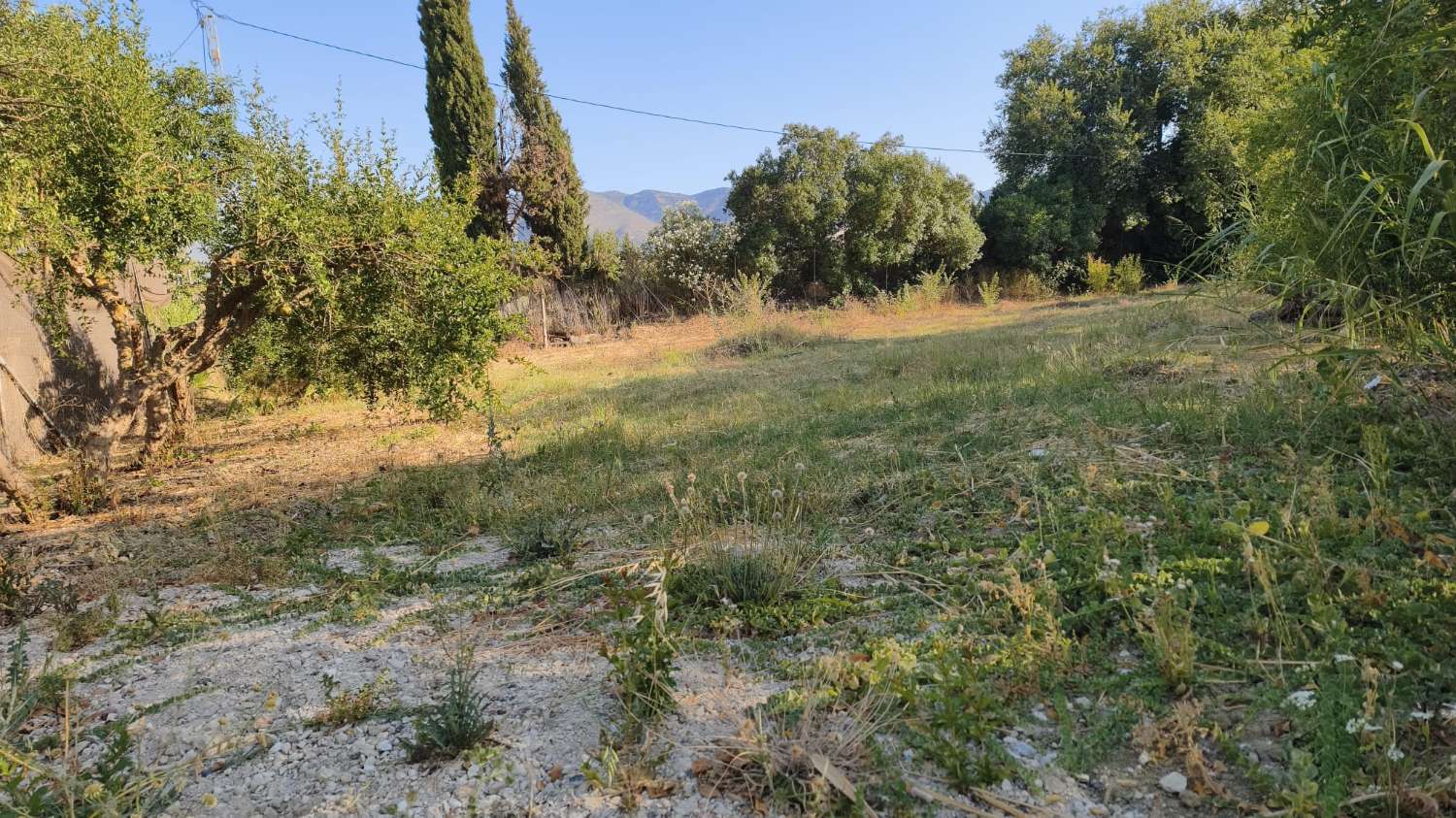 Parcela en venta en Cártama