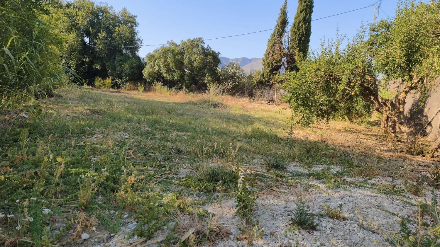 Parcela en venta en Cártama